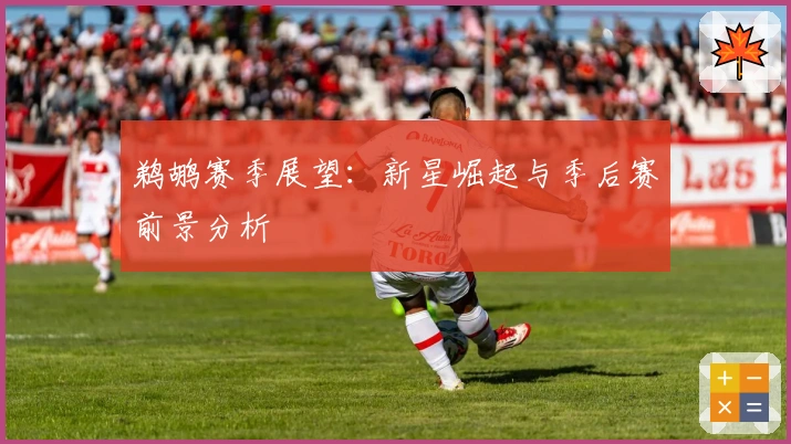 鹈鹕赛季展望：新星崛起与季后赛前景分析