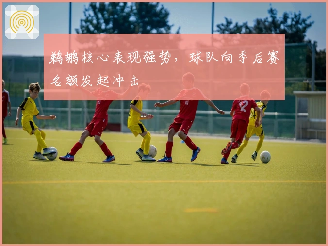 鹈鹕核心表现强势，球队向季后赛名额发起冲击