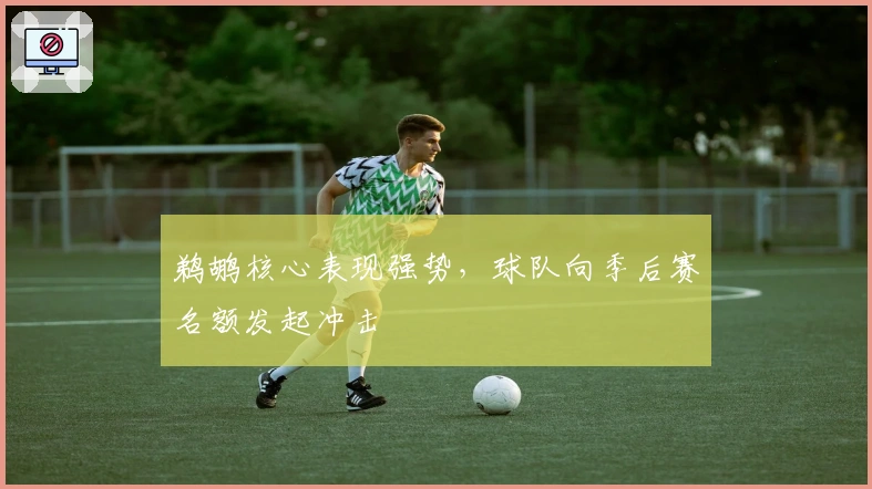 鹈鹕核心表现强势，球队向季后赛名额发起冲击